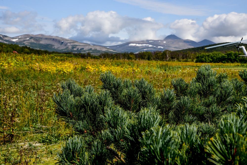 Photograph by Ольга Логвинец