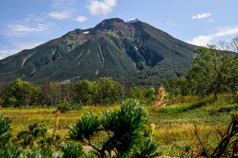 Photograph by Ольга Логвинец