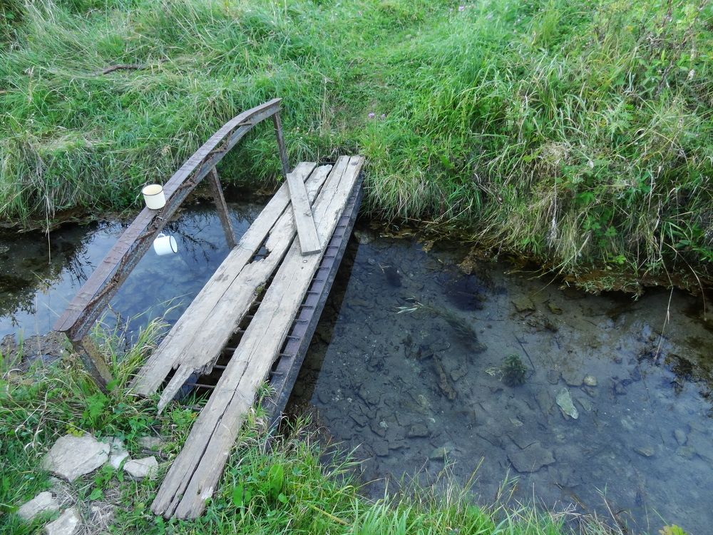 Photograph by Стефанова Татьяна