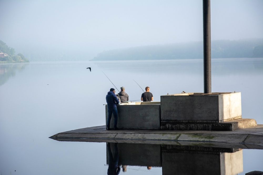 Photograph by Александр Лобынцев