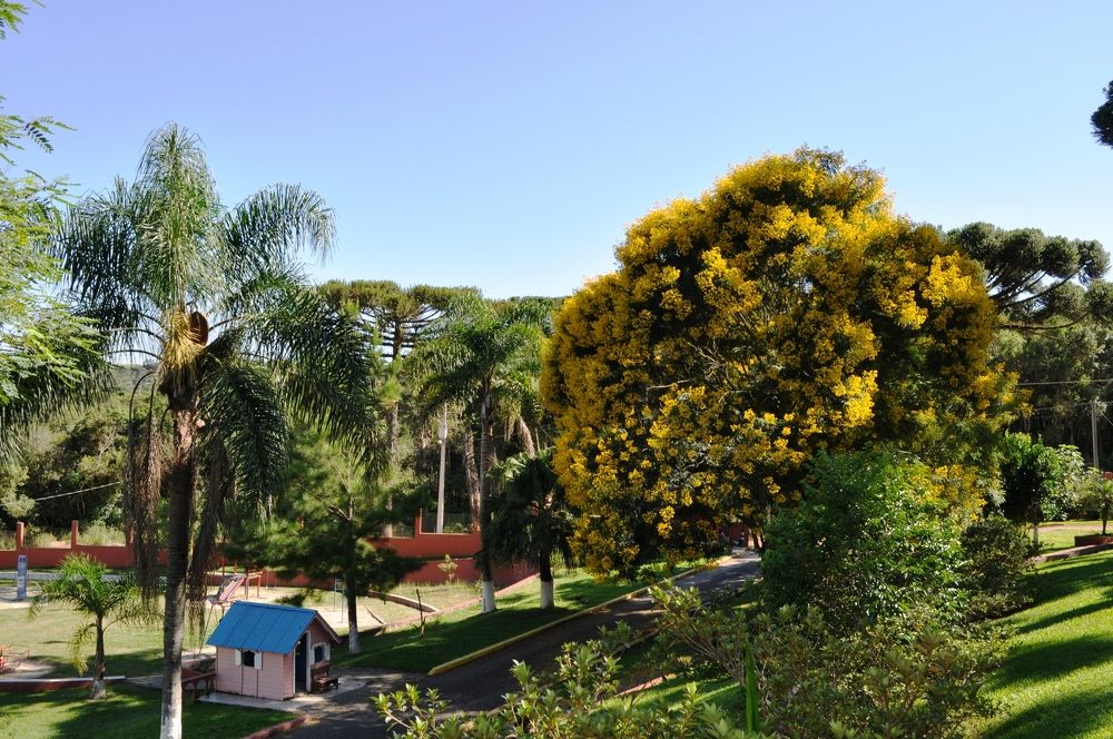 Фотография автора Fernando Rosa