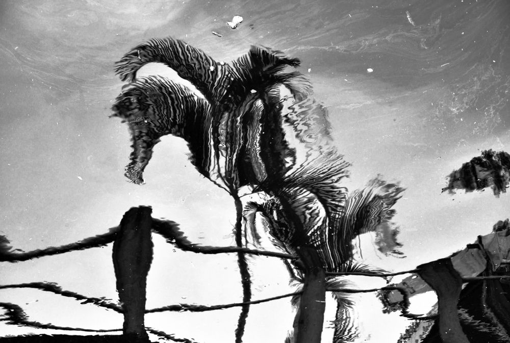 Фотография автора Fernando Rosa