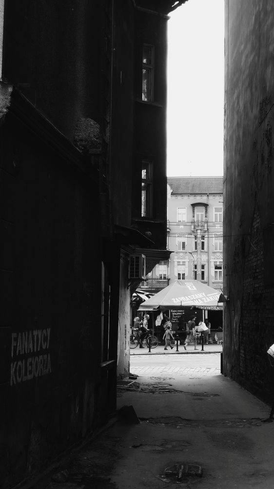 Photo #6777989
