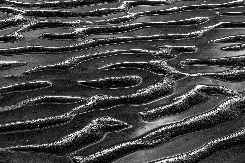 Photograph by Marc-Alain Ferragne