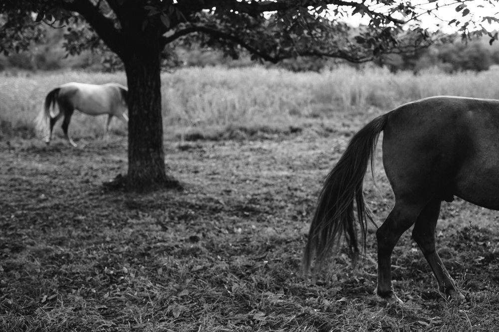 Photograph by Sergiu Rotaru