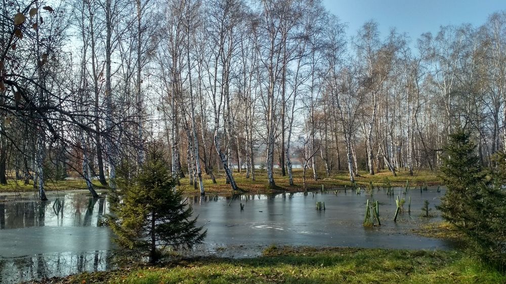 Photograph by Ольга Васильева