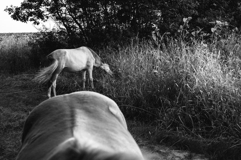 Photograph by Sergiu Rotaru