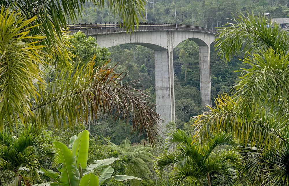 Photograph by dewa putra