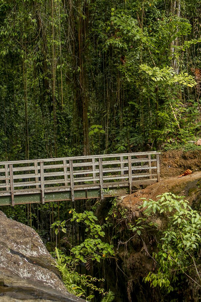 Photograph by dewa putra