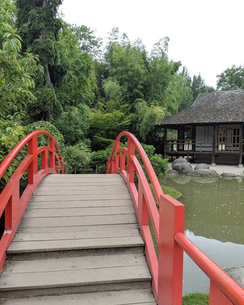 Photograph by Gabriela Meghnini