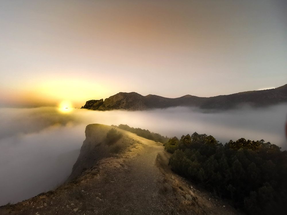 Photograph by Александр Разумов