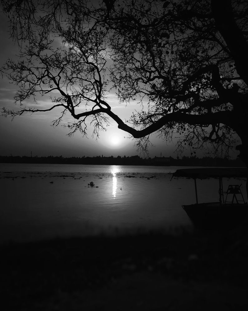 Photograph by Shyamal Karmakar