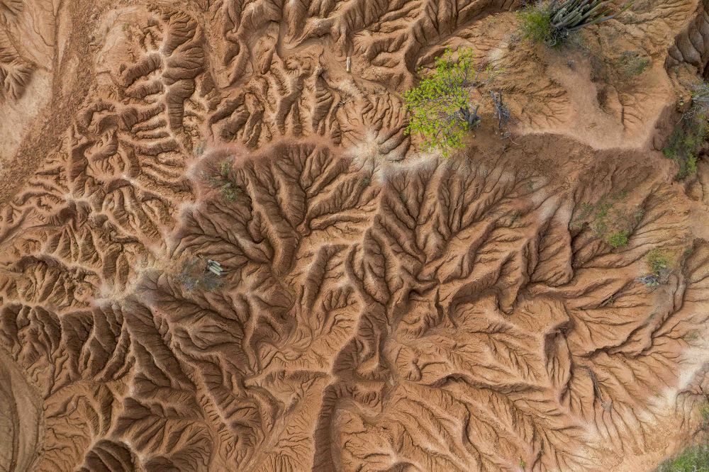 La venas del desierto