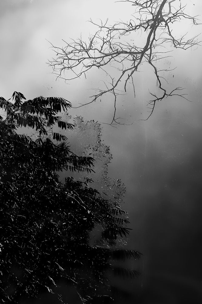 Photograph by dewa putra