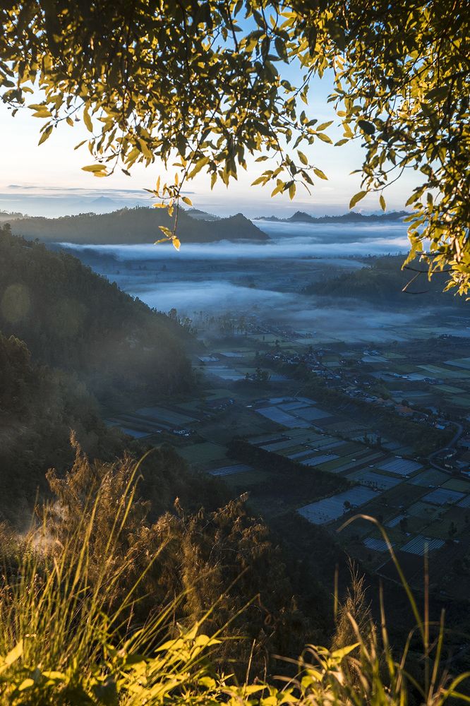 Photograph by dewa putra