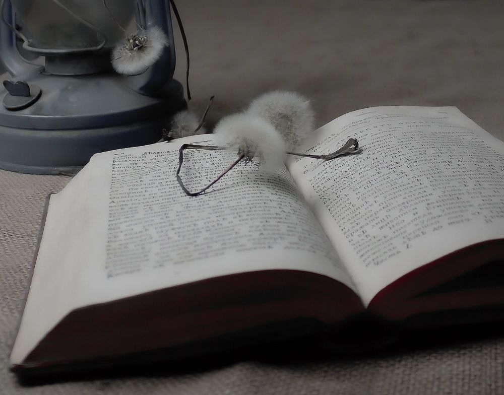 Photograph by Валентина Тагильцева