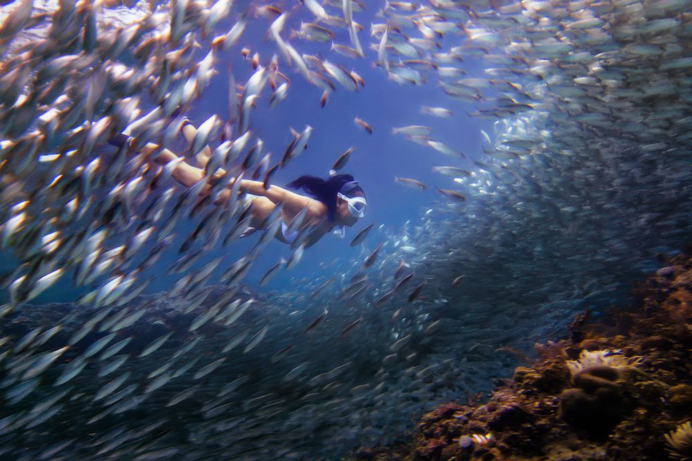 Photograph by Альт Эдуард