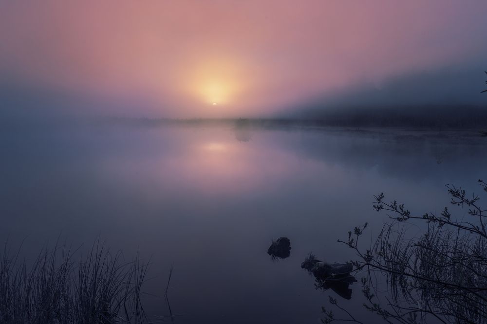 Photograph by Татьяна Борисова