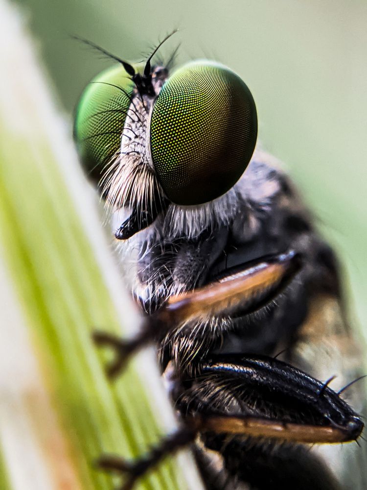 Photograph by Govind Viswanath