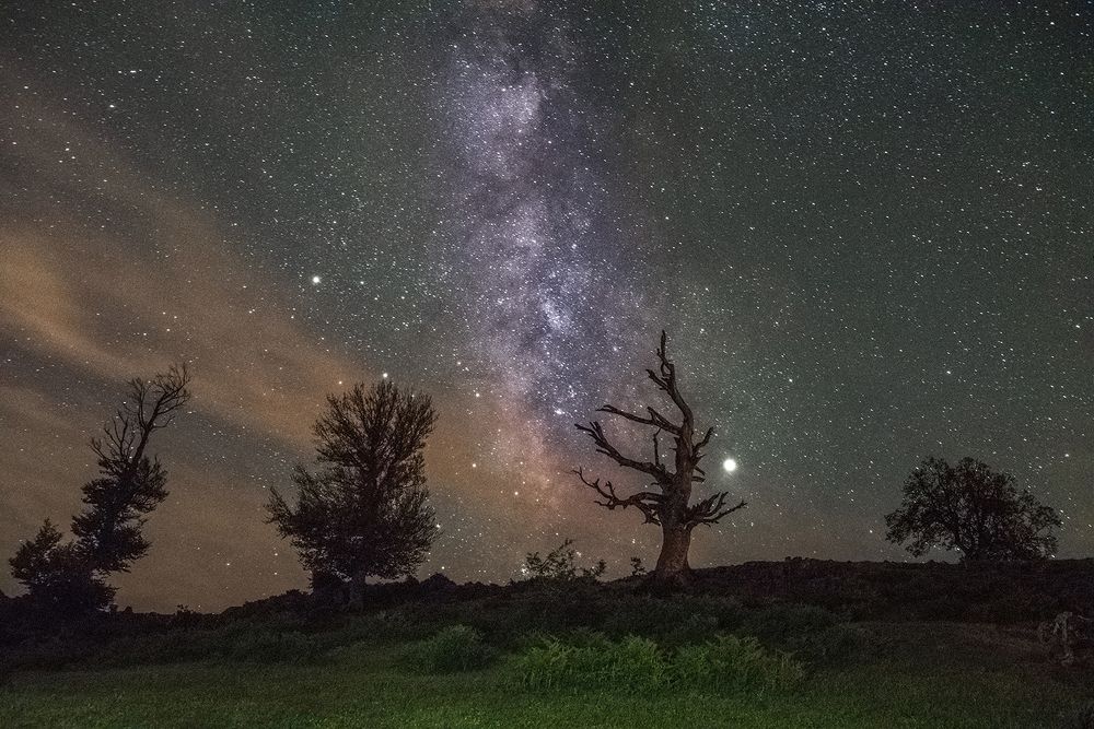 Фотография автора Farhad Alidost