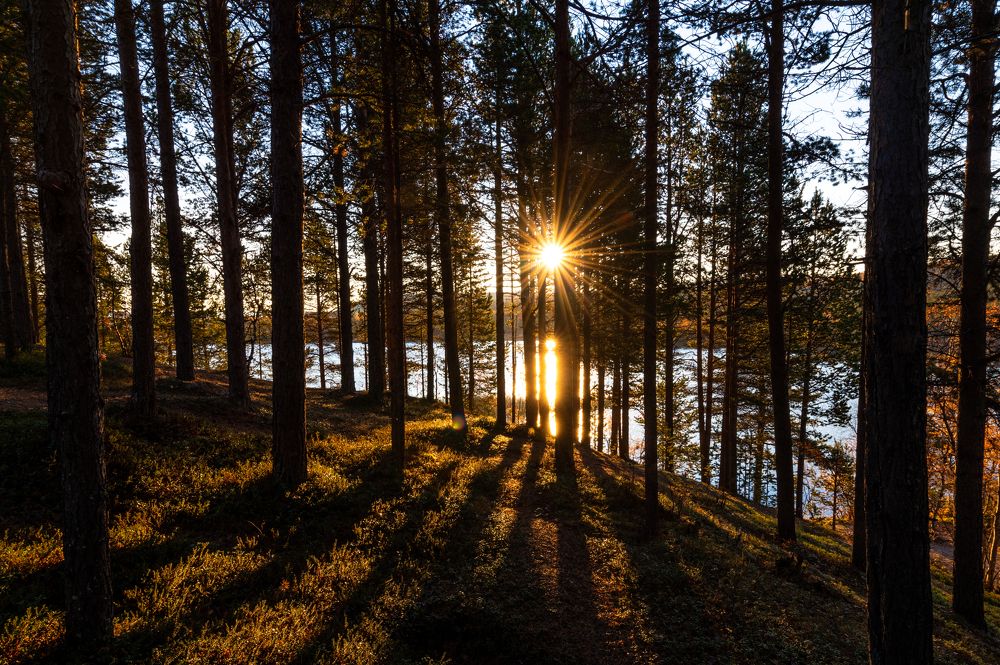 Photograph by Иван Федянин