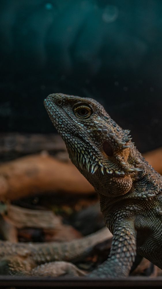 Photograph by Даниил