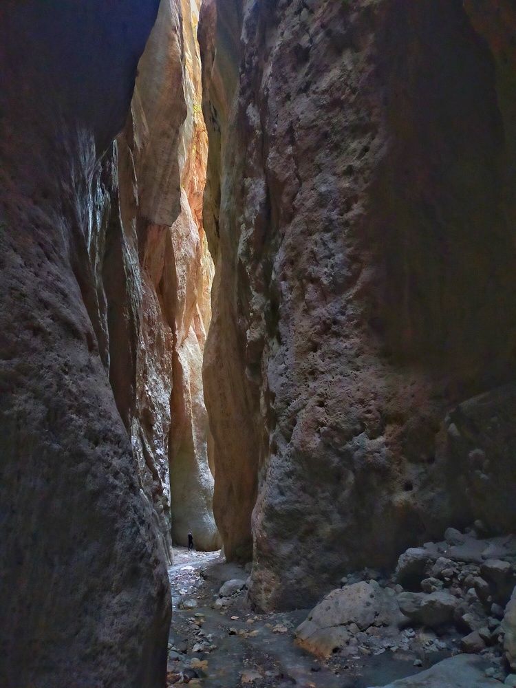 Photograph by Мария Воронцова