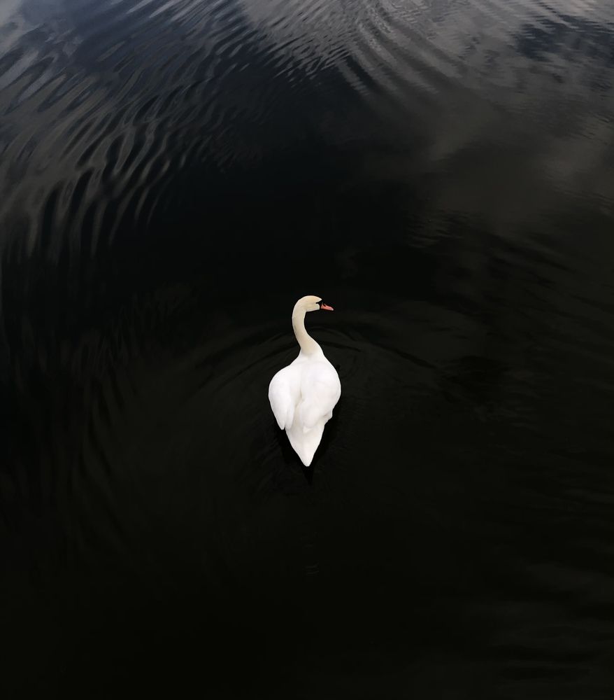 Photograph by Sviatko Helen