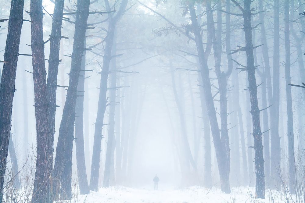 Фотография автора Денис Демков