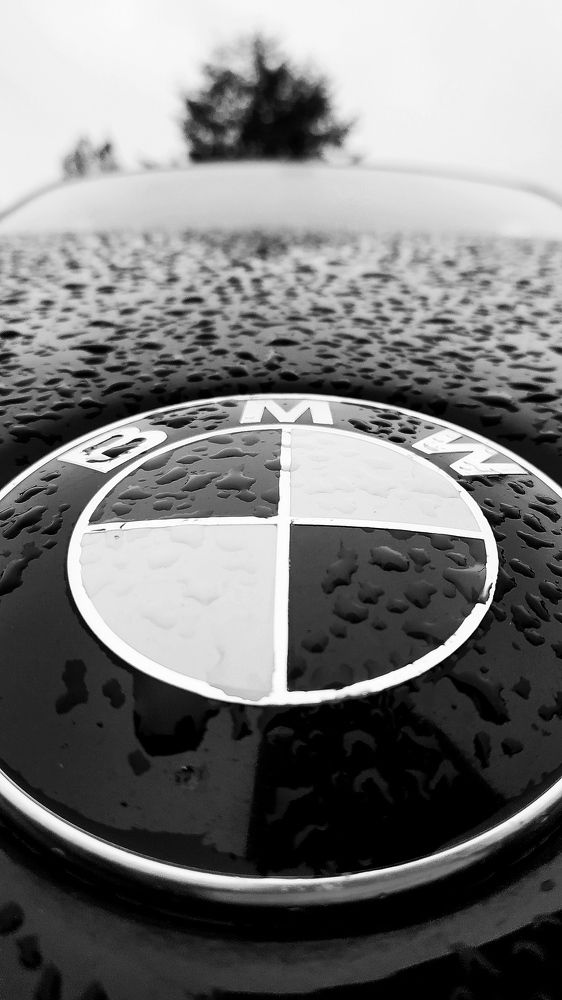 Photograph by Александр Казак