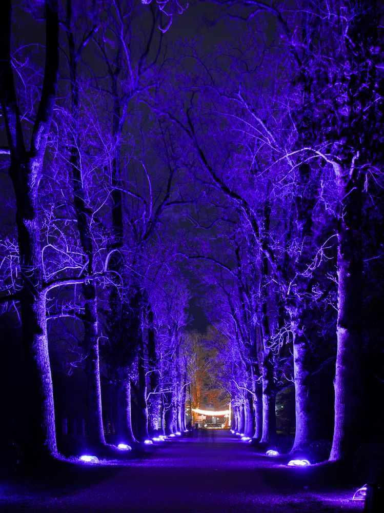 Photograph by Наталья Кокорина