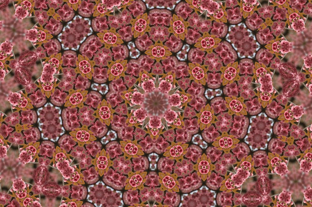 Photograph by Marie G