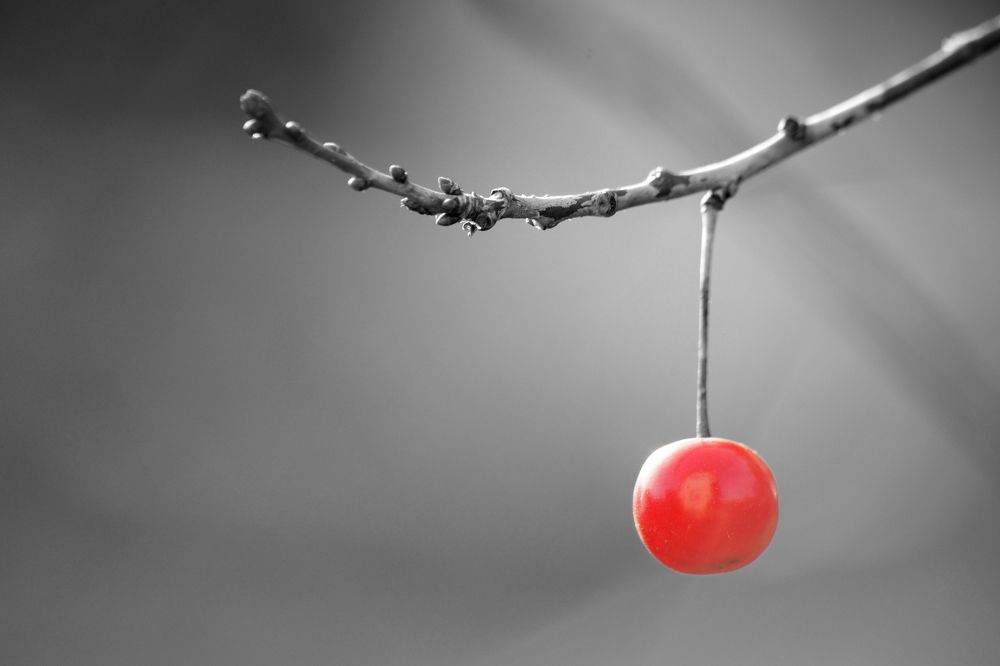 Photograph by Андрей Хаймин