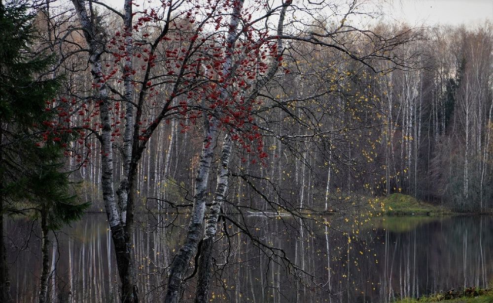 Photograph by Марина Безенкина