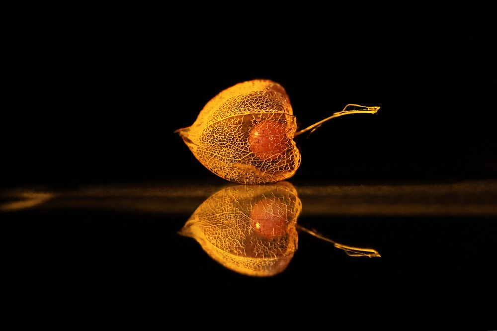 Photograph by Лада Филлипова