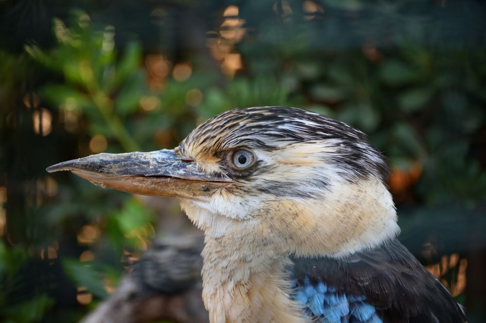 Photograph by Kostas Rammos