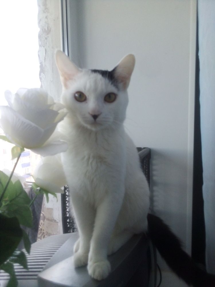 Photo #6778925