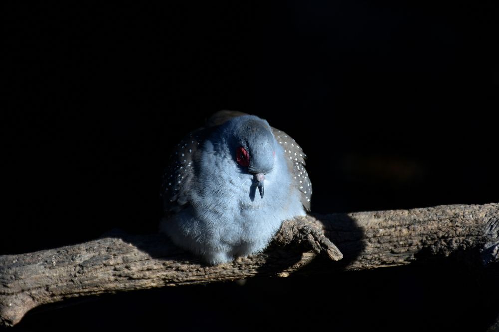 Photograph by Kostas Rammos