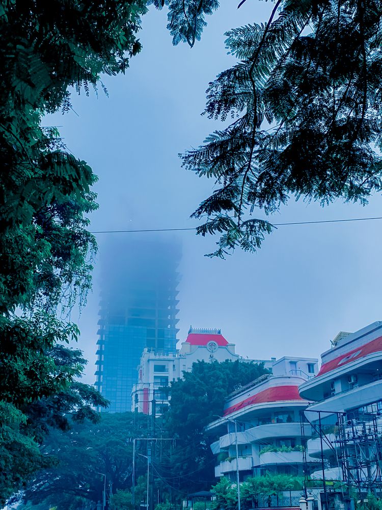 Photograph by dharmik rathod