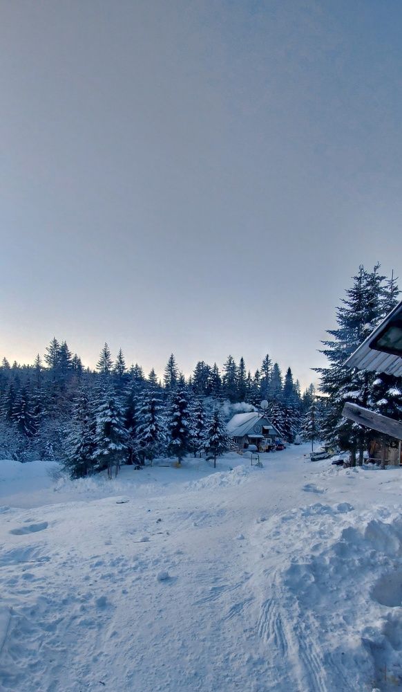 Photograph by Speed Girl