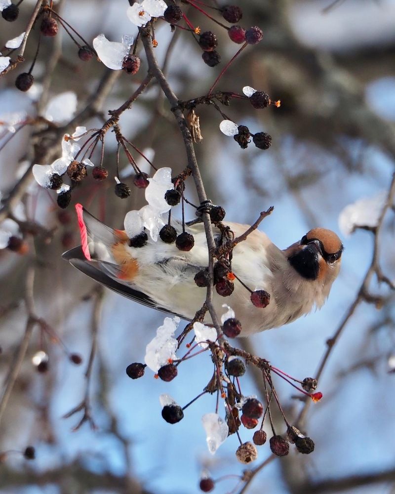Photograph by Юлия Поршнева