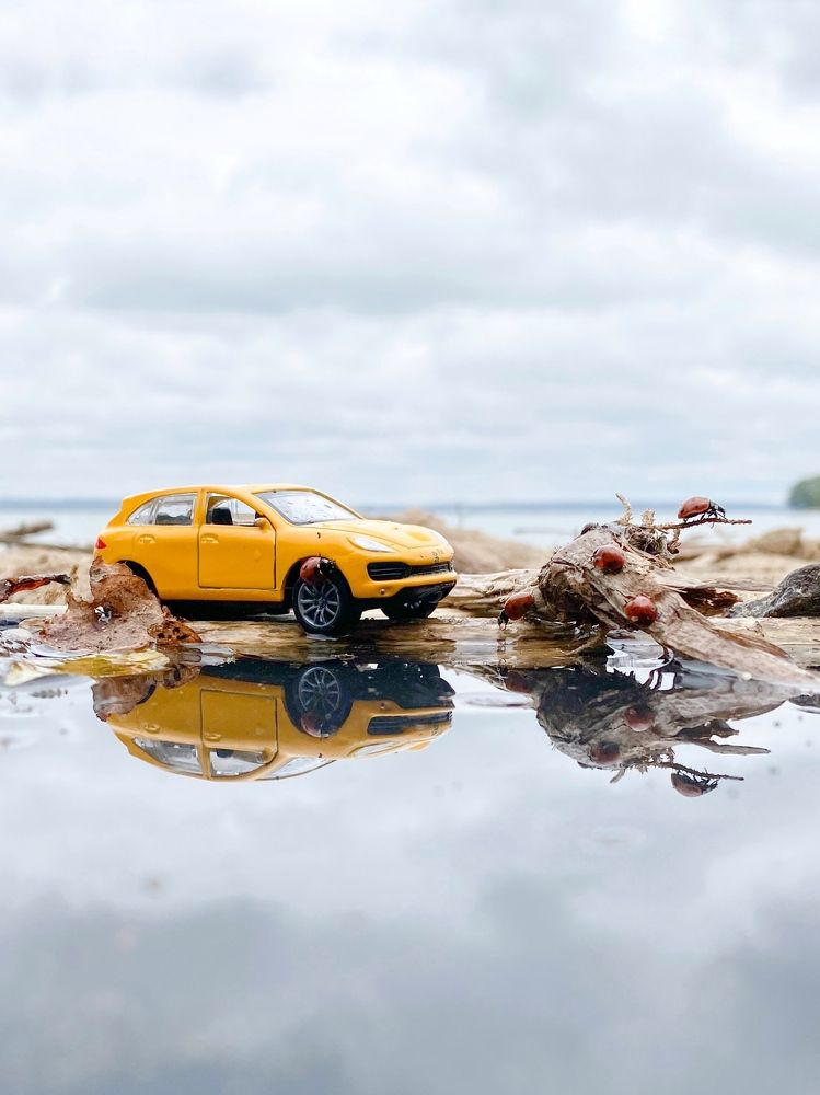 Photograph by Екатерина Бердутина