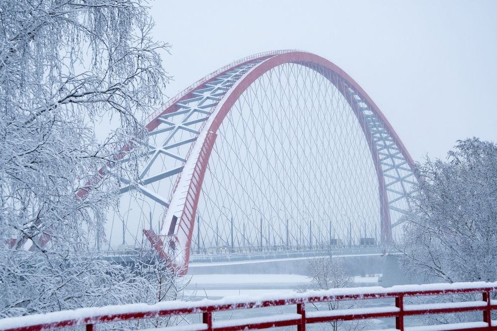 Photograph by Сергей