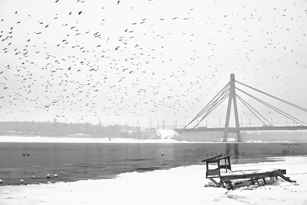 Photograph by Виталий Тимофеев