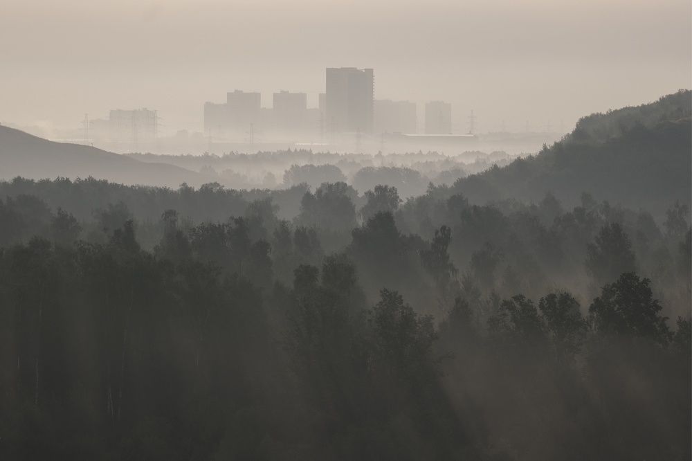 Photograph by Андрей Лабутин