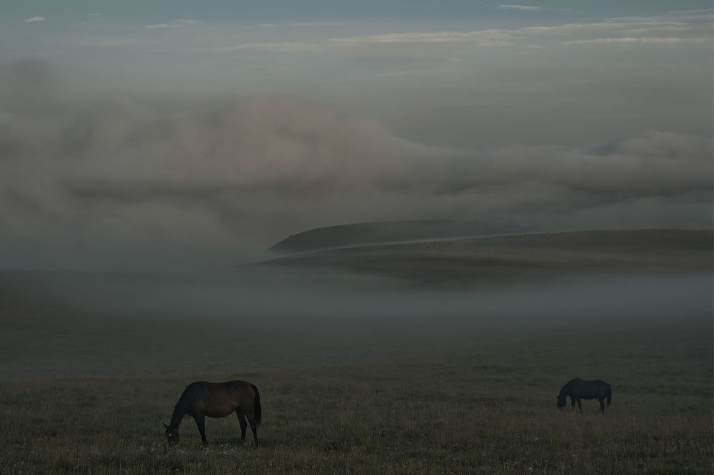 Photograph by Андрей Лабутин