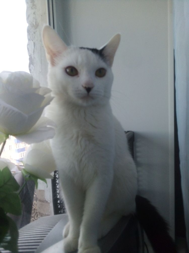 Photo #6778981
