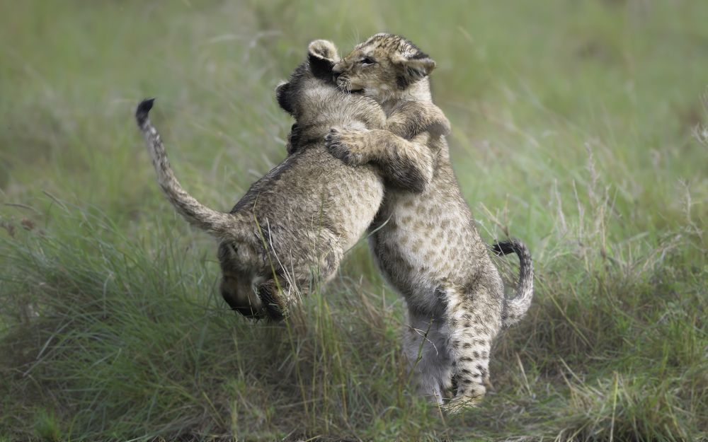 Photograph by Vignesh Ramachandran