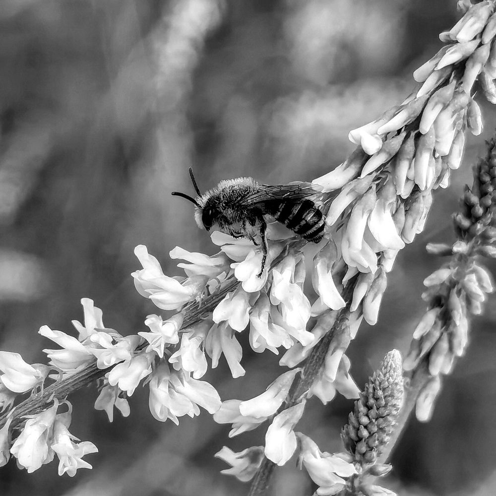 Photograph by Олика