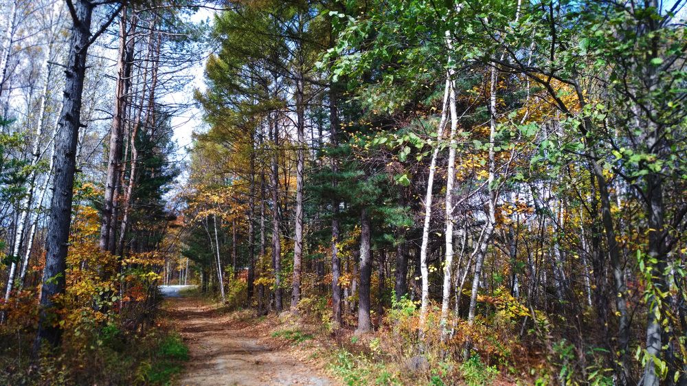 Photograph by Svetlana Victorovna Kibyakova